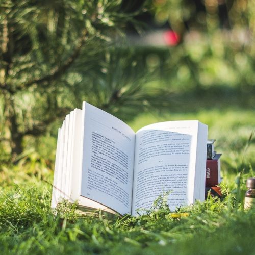 nature-writing-cropped-1[1]